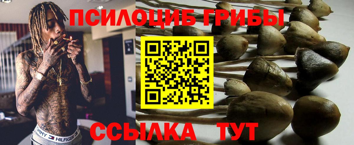 Железногорск  Галлюциногенные грибы MAGIC MUSHROOMS  Вход с VPN 